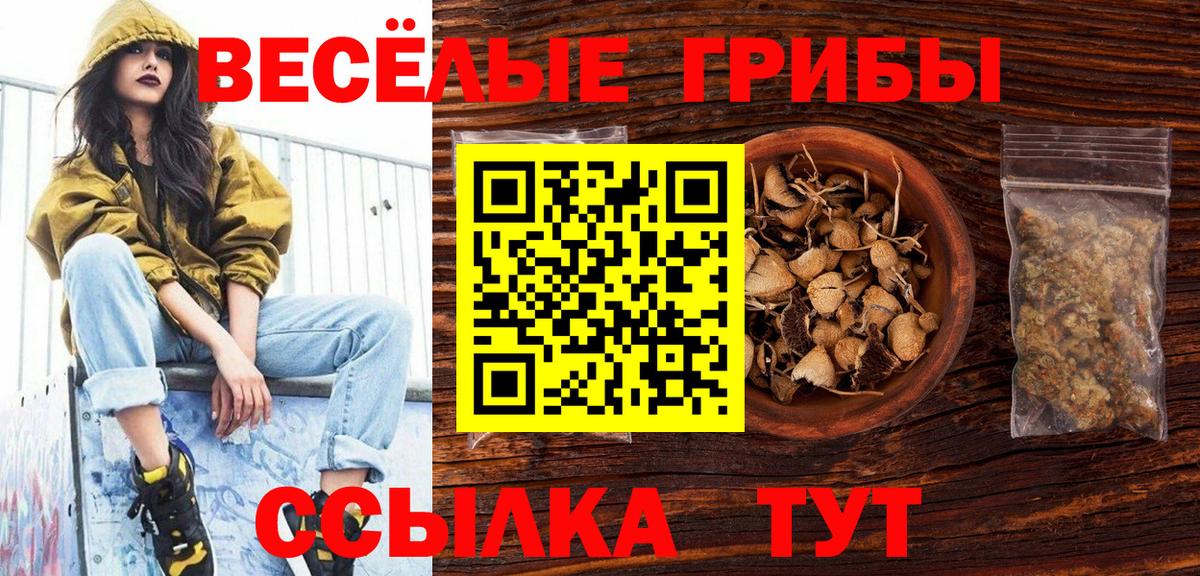 Псилоцибиновые грибы GOLDEN TEACHER  Галлюциногенные грибы ЛСД  Йошкар-Ола  Вход с VPN 