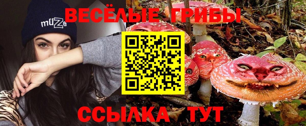Псилоцибиновые грибы прущие грибы Йошкар-Ола